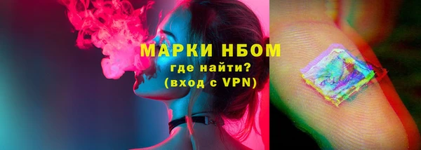 PSILOCYBIN Горно-Алтайск