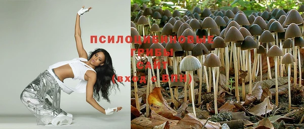 PSILOCYBIN Горно-Алтайск