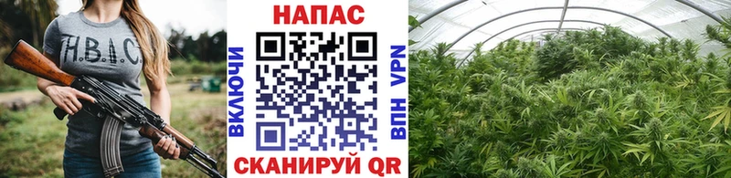 купить наркотики сайты  KRAKEN tor  Канабис MAZAR  Избербаш 